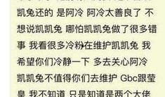 凯凯案件最新爆料,揭秘背后惊人内幕